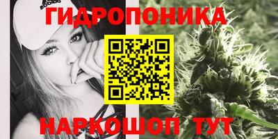амф Обнинск