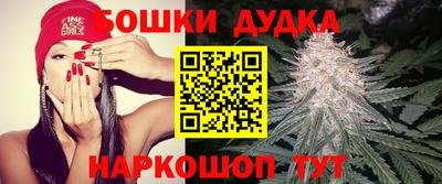 амф Обнинск